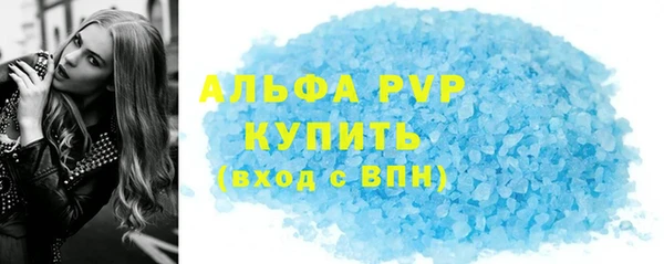 шишки Надым
