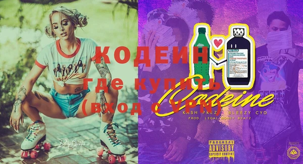 шишки Надым