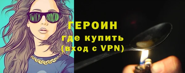 шишки Надым