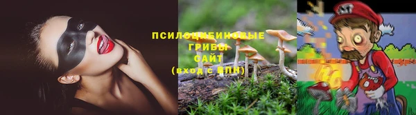 Альфа ПВП Наволоки