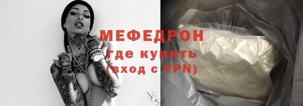 шишки Надым