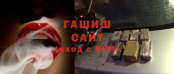 шишки Надым