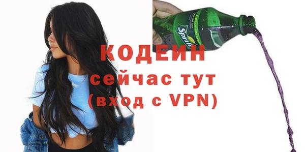 шишки Надым