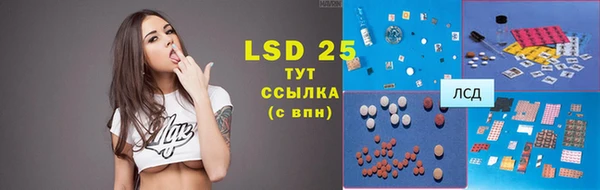 шишки Надым