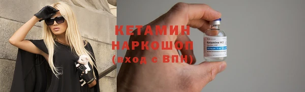 шишки Надым