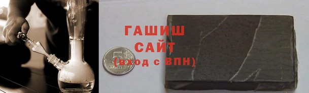 шишки Надым