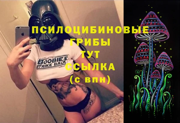 шишки Надым