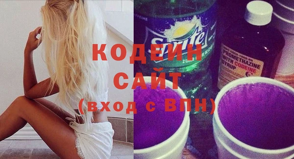 шишки Надым