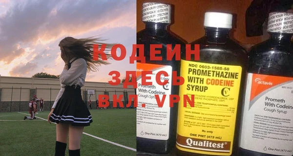шишки Надым