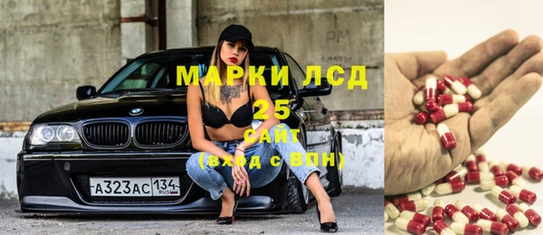 шишки Надым