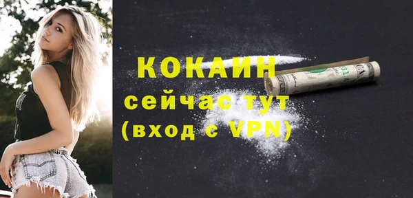 шишки Надым