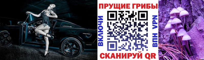 где продают наркотики  Борзя  гидра tor  Псилоцибиновые грибы мухоморы 