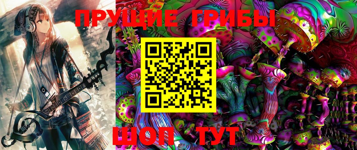 Псилоцибиновые грибы мицелий Борзя
