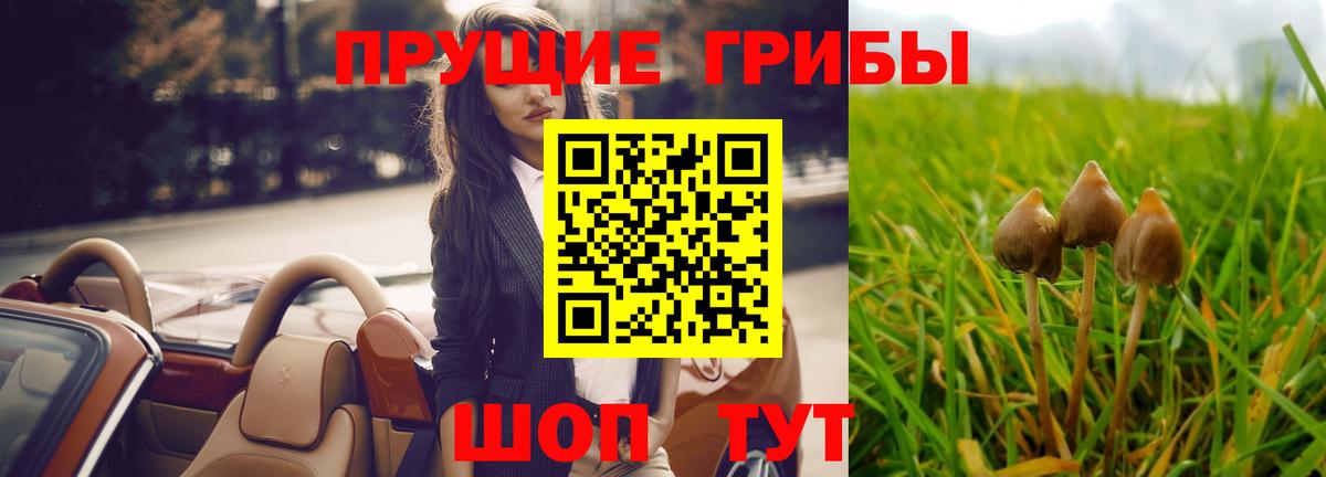 Псилоцибиновые грибы Cubensis  Псилоцибиновые грибы мухоморы  Борзя 