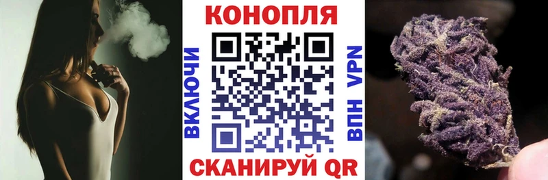 где найти   Борзя  МАРИХУАНА ГИДРОПОН 