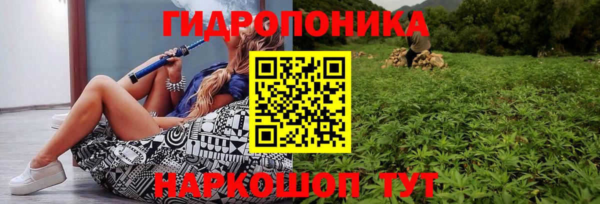 Каннабис THC 21% Борзя